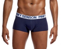 Фото - Мужские трусы хипсы Pinky Senson темно-синего цвета - Men box
