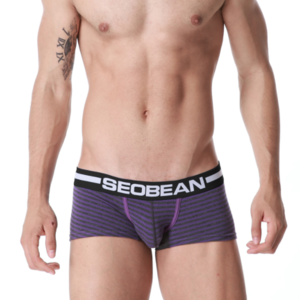 Фото - Боксеры  фиолетового цвета Seobean - Men box