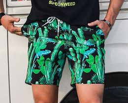 Фото - Мужские шорты пляжные с ярким принтом Qike - Men box