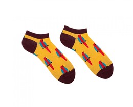 Фото - Короткие носки Sammy Icon с попугаем Barcelona Short - Men box