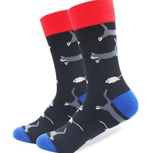 Фото - Высокие носки "Кот и мышка" бренда Friendly Socks черные - Men box
